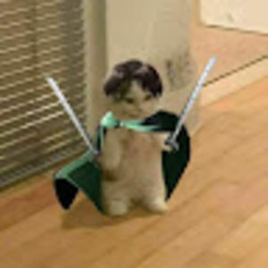 Meet your Posher, Ilee